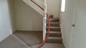 Ipswich vacating rental carpet clean